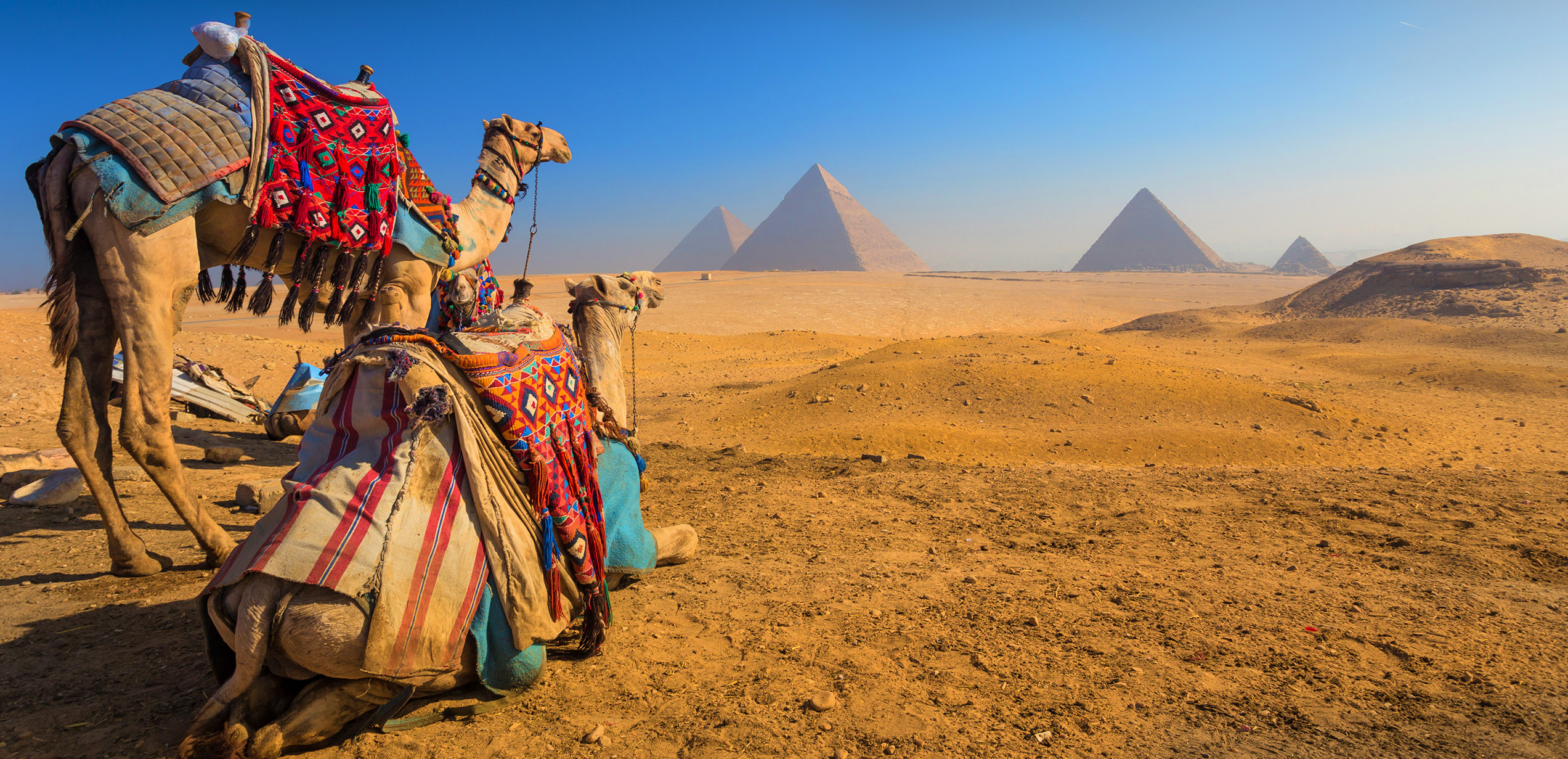 Into The Promised Land Tour Egypt, Jordan & Israel America Egypt